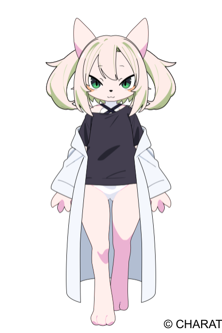Shared avatar