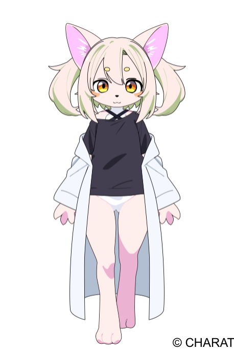 Shared avatar